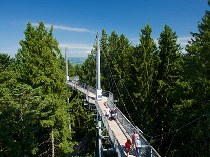 Ausflug mit Kindern - Argenbühl - Wald Abenteuerwelt skywalk allgäu