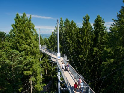 Ausflug mit Kindern - Parkmöglichkeiten - Dornbirn Gütle - Wald Abenteuerwelt skywalk allgäu