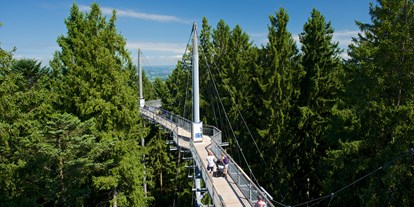 Ausflug mit Kindern - Ausflugsziel ist: ein Spielplatz - PLZ 9444 (Schweiz) - Wald Abenteuerwelt skywalk allgäu