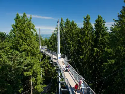 Ausflug mit Kindern - PLZ 6863 (Österreich) - Wald Abenteuerwelt skywalk allgäu