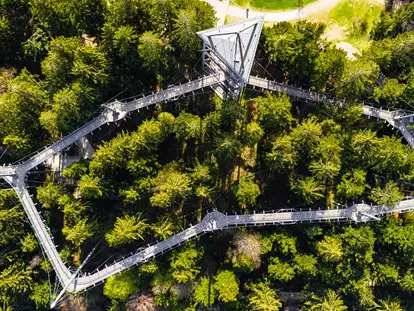 Ausflug mit Kindern - Götzis - Wald Abenteuerwelt skywalk allgäu