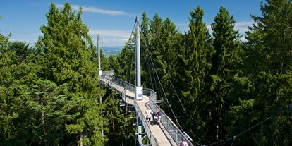 Ausflug mit Kindern - Witterung: Bewölkt - Kressbronn am Bodensee - Wald Abenteuerwelt skywalk allgäu