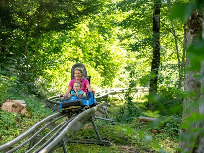 Ausflug mit Kindern - Küblis - © Golm Silvretta Lünersee Tourismus GmbH Bregenz - Alpine-Coaster-Golm