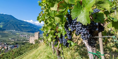 Ausflug mit Kindern - Trentino-Südtirol - Durch zwei Weingüter im Ort kommt der Genuss nie zu kurz. - Naturns