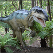 Ausflugsziel - Symbolbild für Ausflugsziel Dinopark Funtana. Keine korrekte oder ähnlich Darstellung! - Dinopark Funtana
