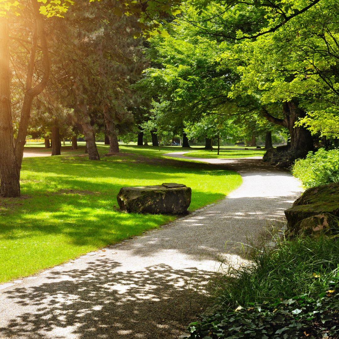 Destination - Symbolbild für Ausflugsziel Parco di Pinocchio. Keine korrekte oder ähnlich Darstellung! - Parco di Pinocchio