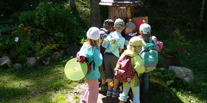 Ausflug mit Kindern - Krün - WIldbienen hinter Glas - Bienenlehrpfad Reith bei Seefeld - Tirol