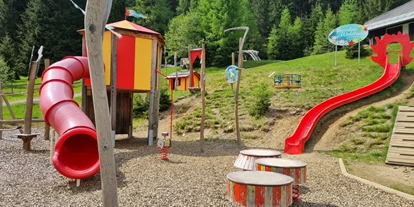 Ausflug mit Kindern - Ausflugsziel ist: ein Spielplatz - Obere Fellach - Waldtratte Kaiserburg EINS - Hütt'n "Almzirkus" Kinderspielplatz