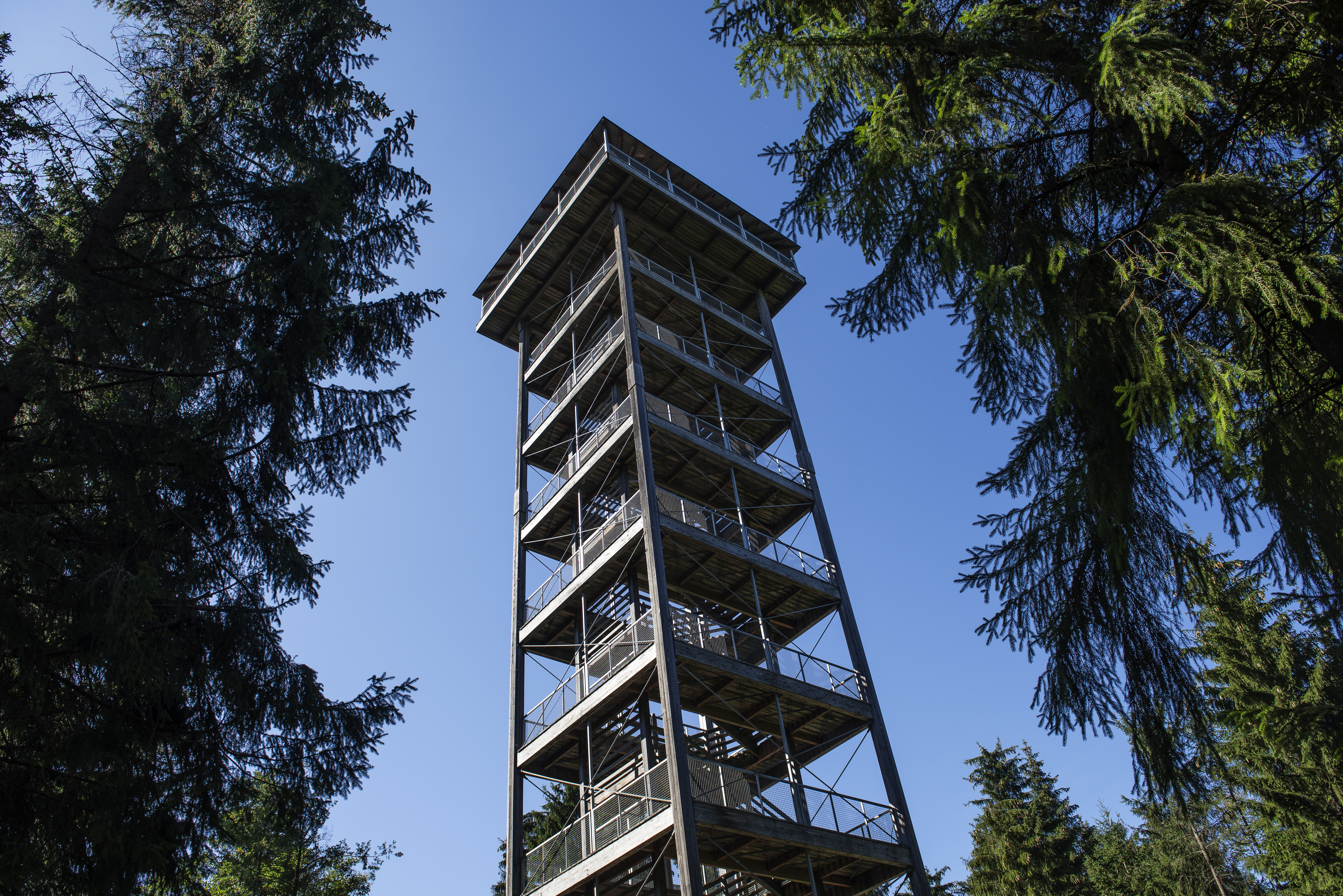 Ausflug mit Kindern - Attergauer Aussichtsturm