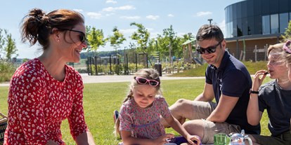Ausflug mit Kindern - Cleebronn - Picknick im Themenpark - KLIMA ARENA Sinsheim