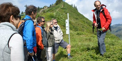 Ausflug mit Kindern - Themenschwerpunkt: Abenteuer - Wald am Arlberg - Blumen-Wanderlehrpfad 