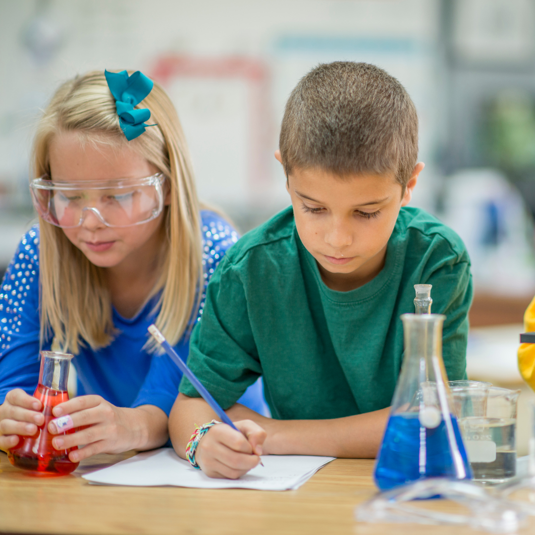 Destinazione dell'escursione - Symbolbild für Ausflugsziel MUSE Museo delle Scienze. Keine korrekte oder ähnlich Darstellung! - MUSE Museo delle Scienze