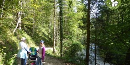 Ausflug mit Kindern - Umgebungsschwerpunkt: Fluss - Kleinberg (Nußdorf am Haunsberg) - Schöne Strecke am Bacherl entlang - Maisrundweg