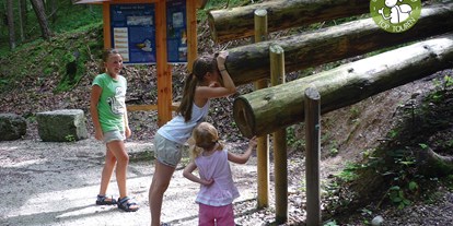 Ausflug mit Kindern - Umgebungsschwerpunkt: Wald - Hallenstein - Viele nette Spielstationen begleiten den Weg - Maisrundweg