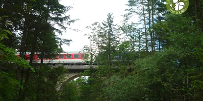 Ausflug mit Kindern - Ausflugsziel ist: eine Wanderung - Kleinberg (Nußdorf am Haunsberg) - ...und ab und zu pfeifft ein Zug vorbei  - Maisrundweg
