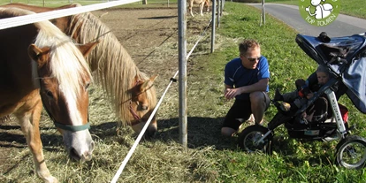 Ausflug mit Kindern - Ausflugsziel ist: ein Aussichtspunkt - Sankt Leonhard (Grödig) - Hier sind fast immer Pferde auf den Weiden zu finden - Buchberg mit dem Kinderwagen