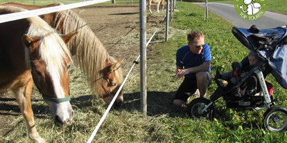 Ausflug mit Kindern - Alter der Kinder: 2 bis 4 Jahre - Schleedorf - Hier sind fast immer Pferde auf den Weiden zu finden - Buchberg mit dem Kinderwagen