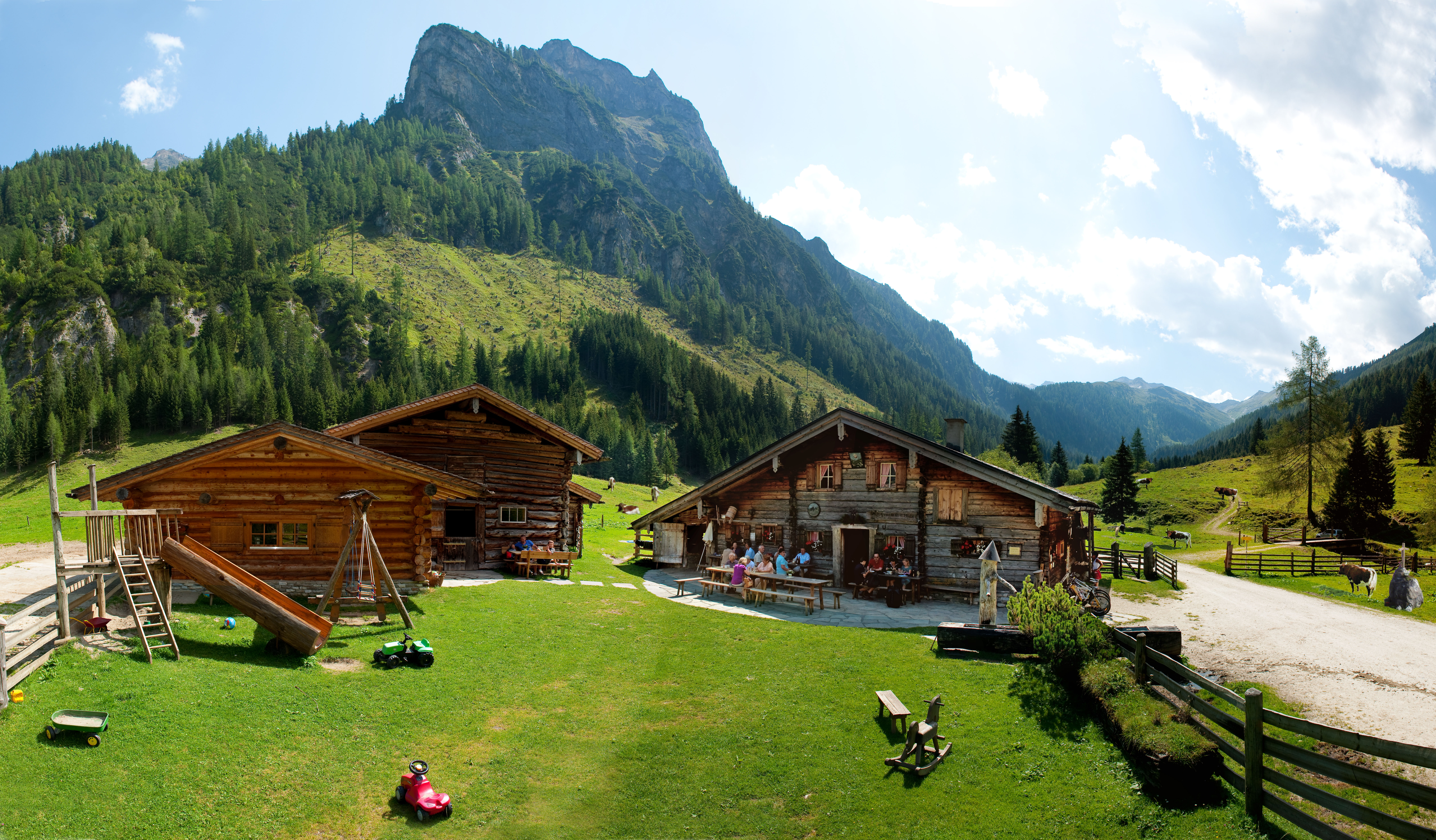Ausflug mit Kindern - Unsere 300 Jahre alte Palfneralm - PALFNER ALM im Seidlwinkltal