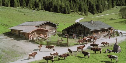 Ausflug mit Kindern - Umgebungsschwerpunkt: Berg - PLZ 5661 (Österreich) - Unsere gutmütigen Pinzgauer Kühe prägen
die Alm. Am Nachmittag können die Kinder beim Melken zuschauen und die Milch verkosten. - Palfner Alm Rauris