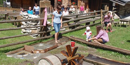 Ausflug mit Kindern - Ausflugsziel ist: ein Spielplatz - Zell am See - Palfner Alm Rauris