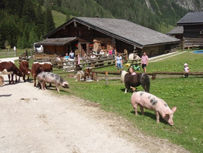 Ausflug mit Kindern - Ausflugsziel ist: ein Bauernhof - Großarl - Palfner Alm Rauris