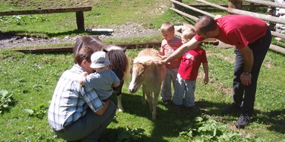 Ausflug mit Kindern - Ausflugsziel ist: ein Spielplatz - PLZ 5611 (Österreich) - Palfner Alm Rauris