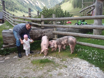 Ausflug mit Kindern - Umgebungsschwerpunkt: Berg - PLZ 5611 (Österreich) - Palfner Alm Rauris