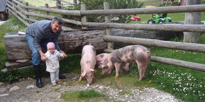 Ausflug mit Kindern - Ausflugsziel ist: ein Bauernhof - Kaprun - Palfner Alm Rauris