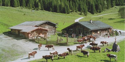 Ausflug mit Kindern - Ausflugsziel ist: ein Restaurant/Gasthaus - Pinzgau - Palfner Alm Rauris
