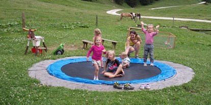 Ausflug mit Kindern - Ausflugsziel ist: ein Spielplatz - PLZ 5611 (Österreich) - Palfner Alm Rauris