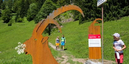 Trip with children - Bartholomäberg - Der Stebok-Wäg (Steinbock-Weg) führt von Dalaas über Mason zum Formarinsee - hier warten spannende Informationstafeln und Ruheplätze auf die Wanderer. - Formarinsee und Rote Wand