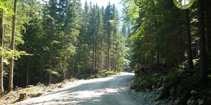 Ausflug mit Kindern - Umgebungsschwerpunkt: Wald - Grödig - Hier startet die Wanderung auf die Rettenegghütte - Postalm Rettenegghütte