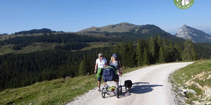 Ausflug mit Kindern - Kinderwagen: vollständig geeignet - Sankt Leonhard (Grödig) - Bald wandert man über die offenen Weideflächen - Postalm Rettenegghütte