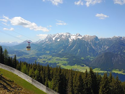 Ausflug mit Kindern - Kinderwagen: großteils geeignet - Ramsau am Dachstein - Streichelzoo und Disc Golf Parcours 