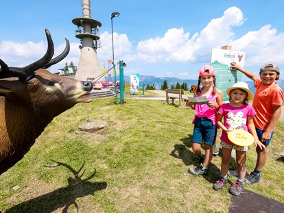 Ausflug mit Kindern - Umgebungsschwerpunkt: See - Österreich - Streichelzoo und Disc Golf Parcours 