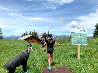 Ausflug mit Kindern - Kinderwagen: großteils geeignet - Ramsau am Dachstein - Streichelzoo und Disc Golf Parcours 