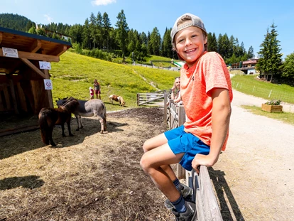 Ausflug mit Kindern - Witterung: Schönwetter - Bad Mitterndorf - Streichelzoo und Disc Golf Parcours 