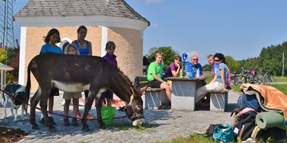 Ausflug mit Kindern - Themenschwerpunkt: Tiere - Kleinberg (Nußdorf am Haunsberg) - Eselwandern am Eselhof Berndlgut