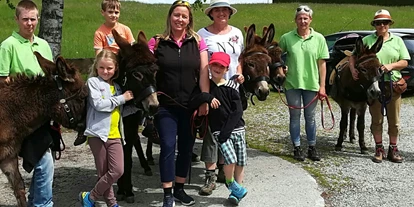 Ausflug mit Kindern - Themenschwerpunkt: Pferde - Kleinberg (Nußdorf am Haunsberg) - Eselwandern am Eselhof Berndlgut