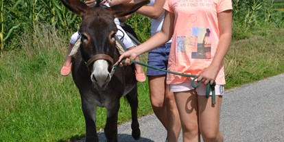 Ausflug mit Kindern - Themenschwerpunkt: Pferde - Haarlacken - Eselreiten Berndlgut