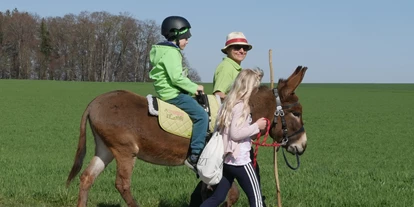 Ausflug mit Kindern - Themenschwerpunkt: Pferde - Kleinberg (Nußdorf am Haunsberg) - Eselreiten Berndlgut