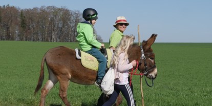 Ausflug mit Kindern - Maxdorf (Lamprechtshausen) - Eselreiten Berndlgut