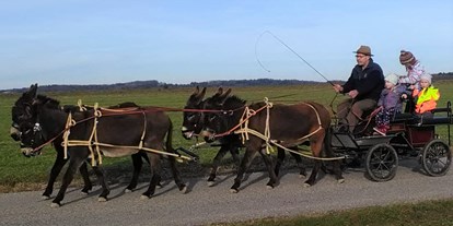 Ausflug mit Kindern - Witterung: Bewölkt - Öppling - Esel-Kutschenfahrten Eselhof Berndlgut