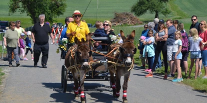 Ausflug mit Kindern - Kindergeburtstagsfeiern - Kleinberg (Nußdorf am Haunsberg) - Esel-Kutschenfahrten Eselhof Berndlgut
