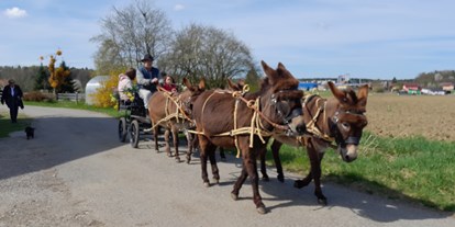 Ausflug mit Kindern - Kinderwagen: vollständig geeignet - Untersunzing - Esel-Kutschenfahrten Eselhof Berndlgut