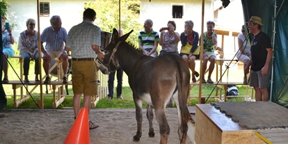 Ausflug mit Kindern - Ausflugsziel ist: eine Wanderung - Mühltal (Überackern) - Esel-Führerschein am Berndlgut