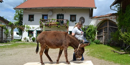 Ausflug mit Kindern - Themenschwerpunkt: Tiere - Halsbach, Kreis Altötting - Esel-Führerschein am Berndlgut
