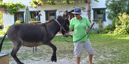 Ausflug mit Kindern - Lach (Neukirchen an der Enknach, Braunau am Inn) - Esel-Führerschein am Berndlgut