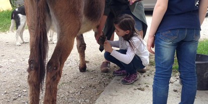 Ausflug mit Kindern - Themenschwerpunkt: Bewegung - Öppling - Esel-Führerschein am Berndlgut