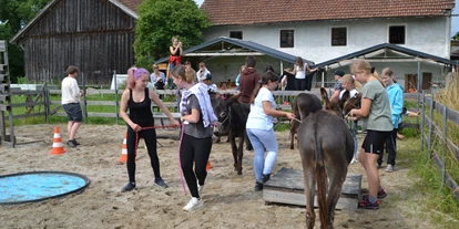 Ausflug mit Kindern - Wickeltisch - Kleinberg (Nußdorf am Haunsberg) - Esel-Führerschein am Berndlgut